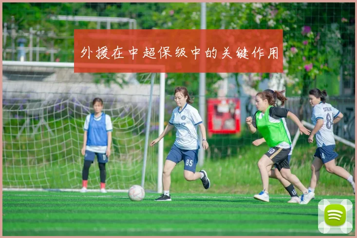 外援在中超保级中的关键作用