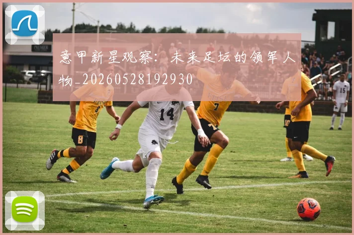 意甲新星观察：未来足坛的领军人物_20260528192930