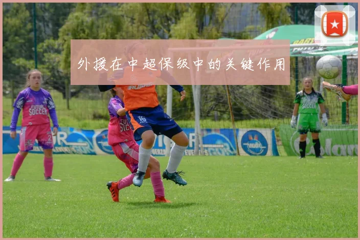 外援在中超保级中的关键作用